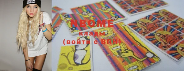 сатива Каменка